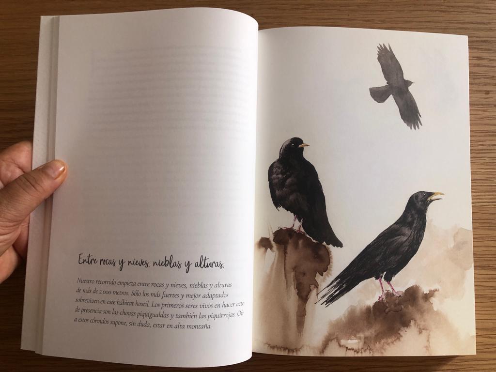 Tinta Salvaje. Cuaderno de la Fauna Cantábrica de Nacho Zubelzu - Imagen 6