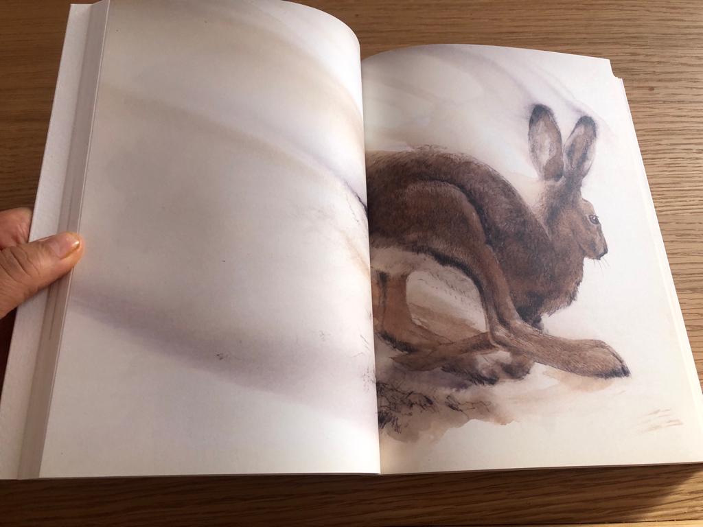 Tinta Salvaje. Cuaderno de la Fauna Cantábrica de Nacho Zubelzu - Imagen 8