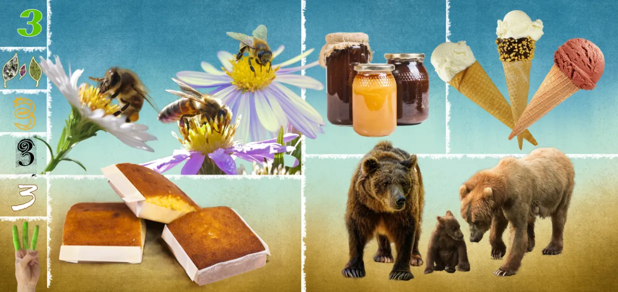 Cantabria Cuento Cuentas - Imagen 4